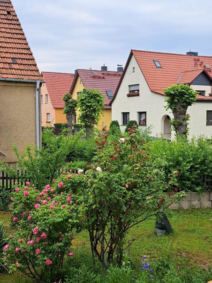 Ferienwohnung Rosengarten Ballenstedt Zewnętrze zdjęcie